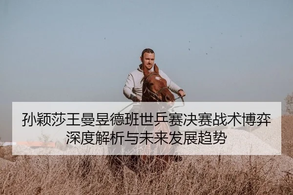 sun-ying-sha-wang-man-yu-de-ban-shi-ping-sai-jue-sai-zhan-shu-bo-yi-shen-du-jie-xi-yu-wei-lai-fa-zhan-qu-shi-2-143.jpg